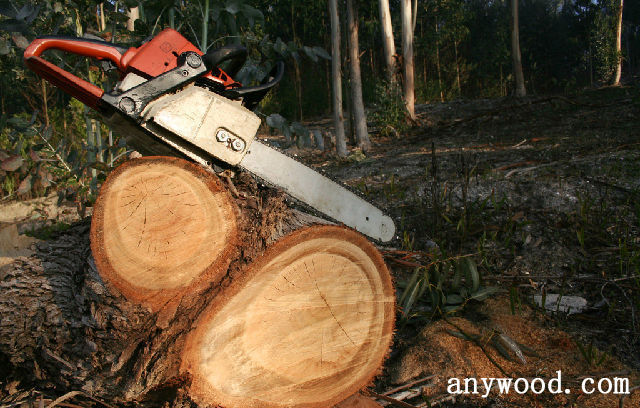 批木网 anywood.com