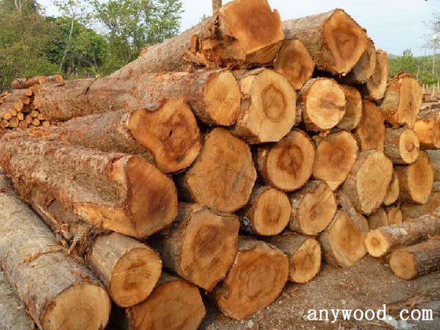 批木网 anywood.com
