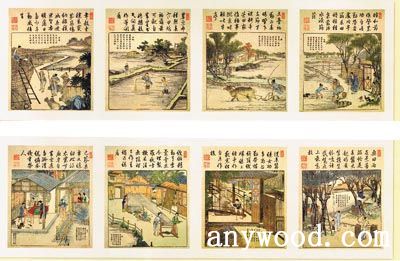 批木网 anywood.com