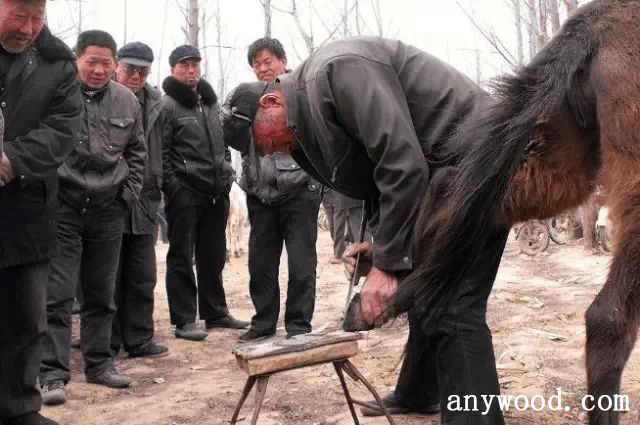 批木网 anywood.com
