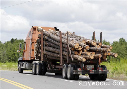 批木网 anywood.com