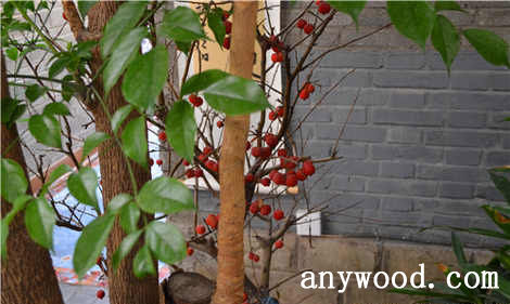 批木网 anywood.com