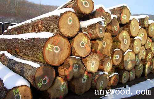 批木网 anywood.com