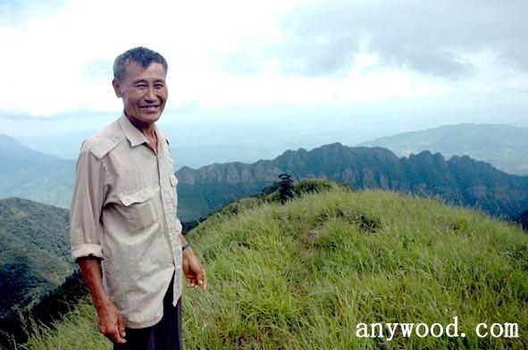 批木网 anywood.com