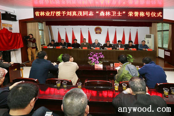 批木网 anywood.com