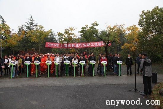 批木网 anywood.com