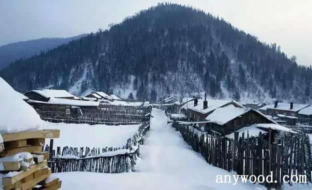 雪景