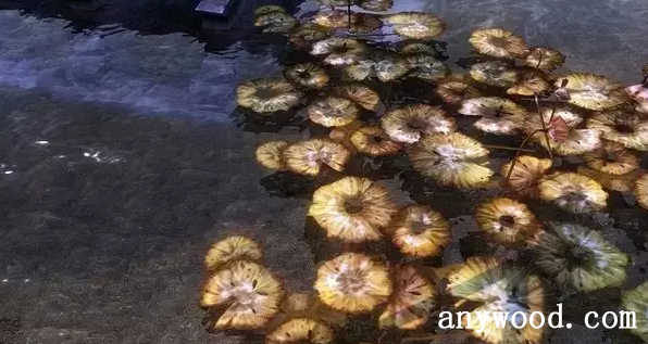 批木网 anywood.com