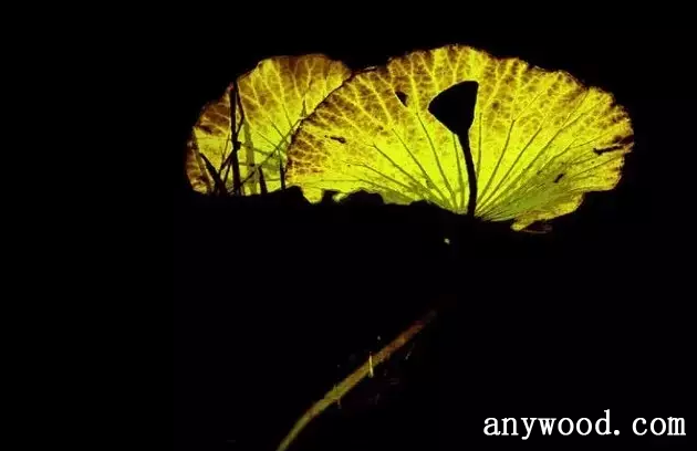 批木网 anywood.com
