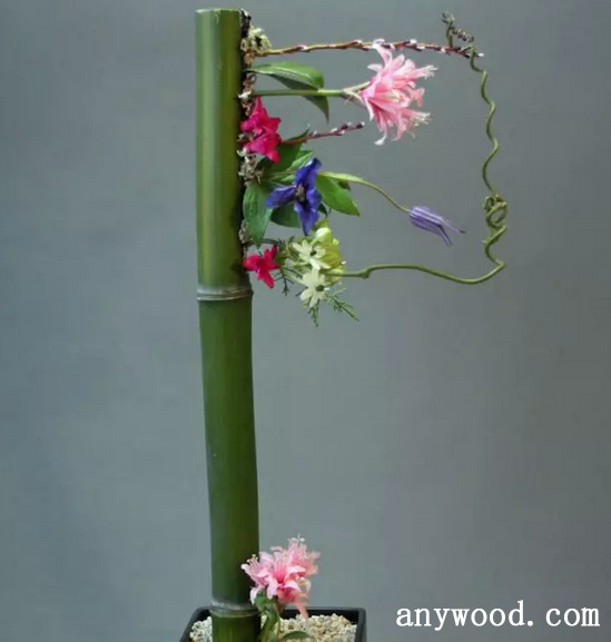 批木网 anywood.com