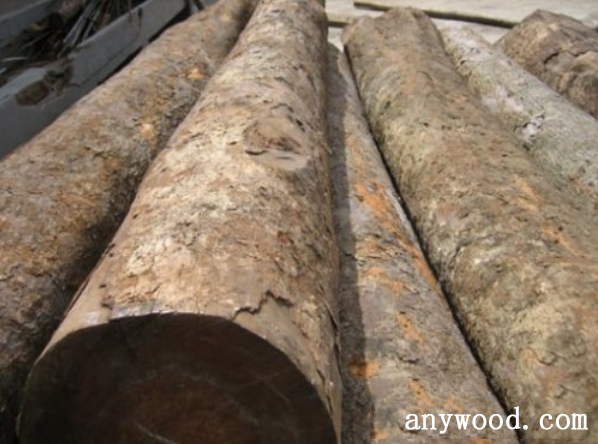 批木网 anywood.com