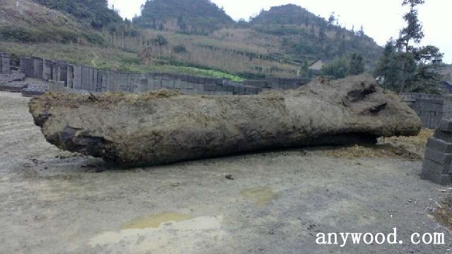 批木网 anywood.com