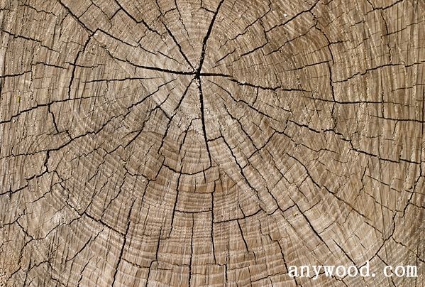 批木网 anywood.com