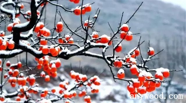 批木网 anywood.com