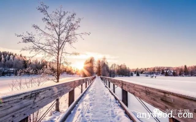 批木网 anywood.com