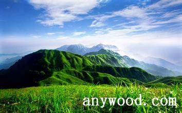 批木网 anywood.com