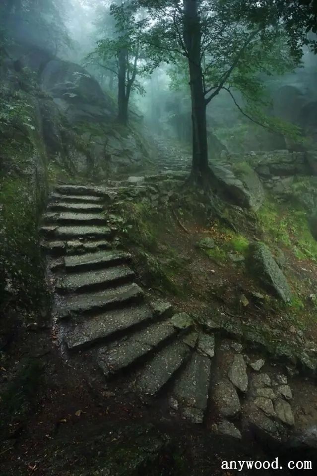 批木网 anywood.com