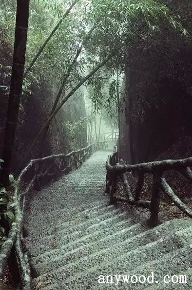 批木网 anywood.com