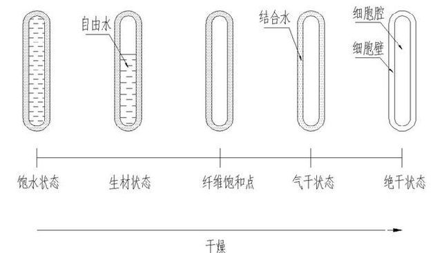 木材中水分存在状态