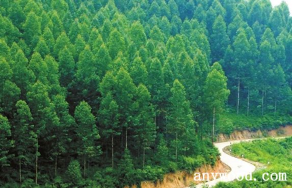 批木网 anywood.com