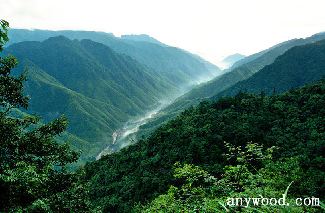 批木网 anywood.com