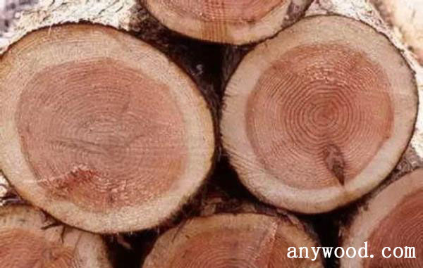 批木网 anywood.com