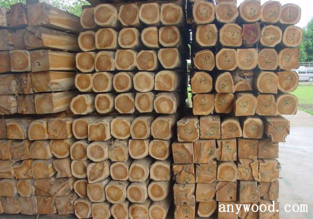 批木网 anywood.com