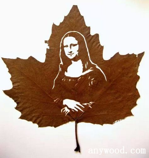 批木网 anywood.com