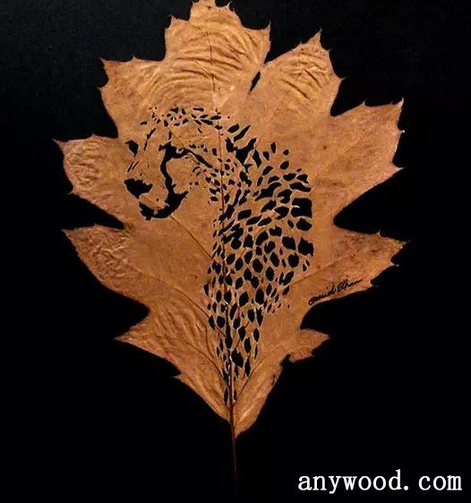 批木网 anywood.com