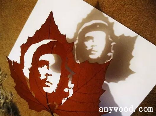 批木网 anywood.com