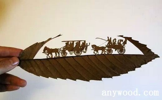 批木网 anywood.com