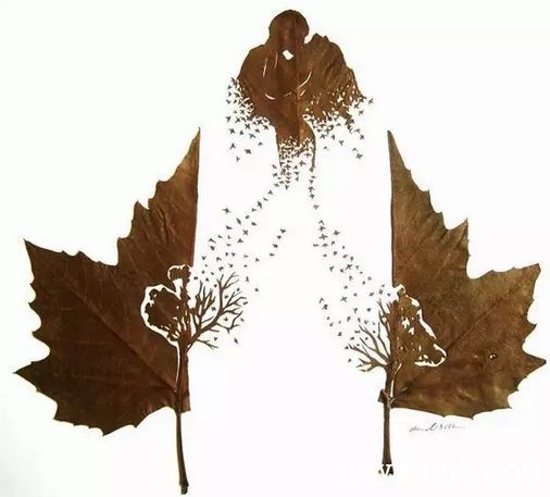 批木网 anywood.com