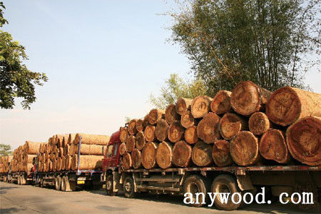 批木网 anywood.com