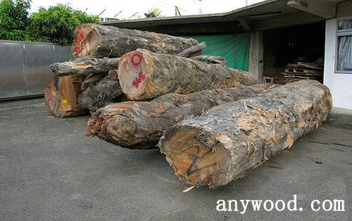 批木网 anywood.com