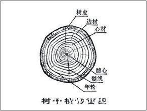 批木网 anywood.com