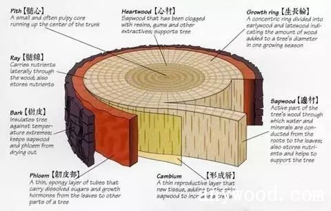 批木网 anywood.com