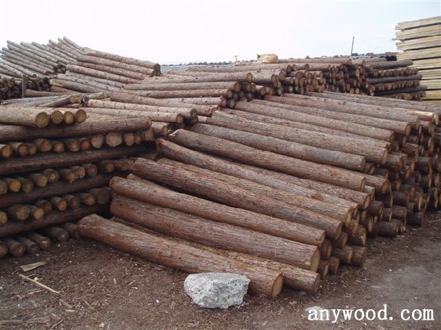 批木网 anywood.com