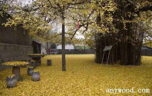 批木网 anywood.com