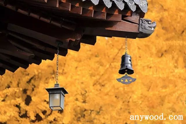 批木网 anywood.com