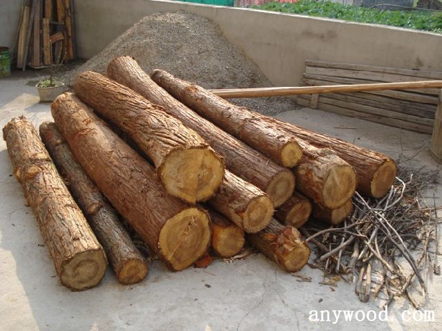 批木网 anywood.com