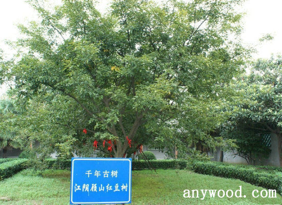 批木网 anywood.com