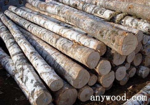 批木网  anywood.com