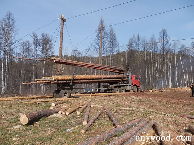 批木网 anywood.com