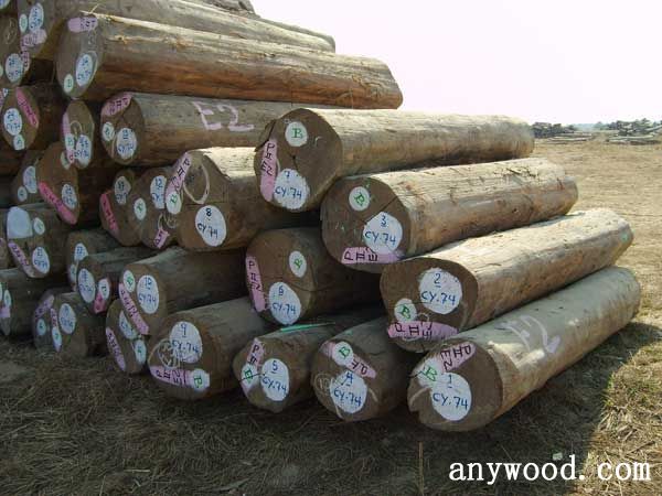 批木网 anywood.com