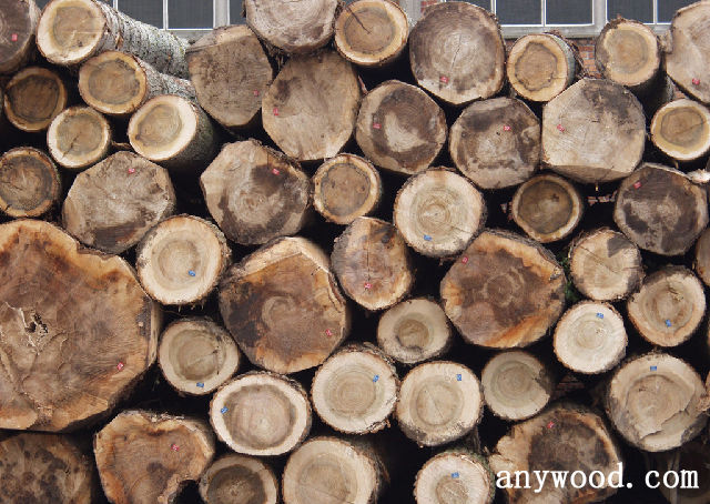 批木网 anywood.com