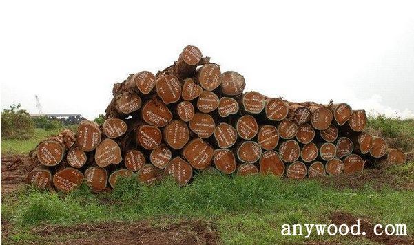批木网 anywood.com