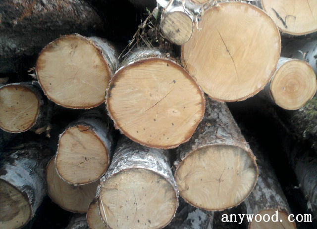 批木网 anywood.com
