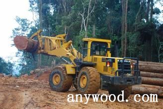 批木网 anywood.com