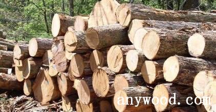 批木网 anywood.com