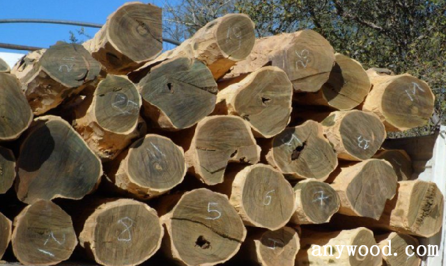 批木网 anywood.com